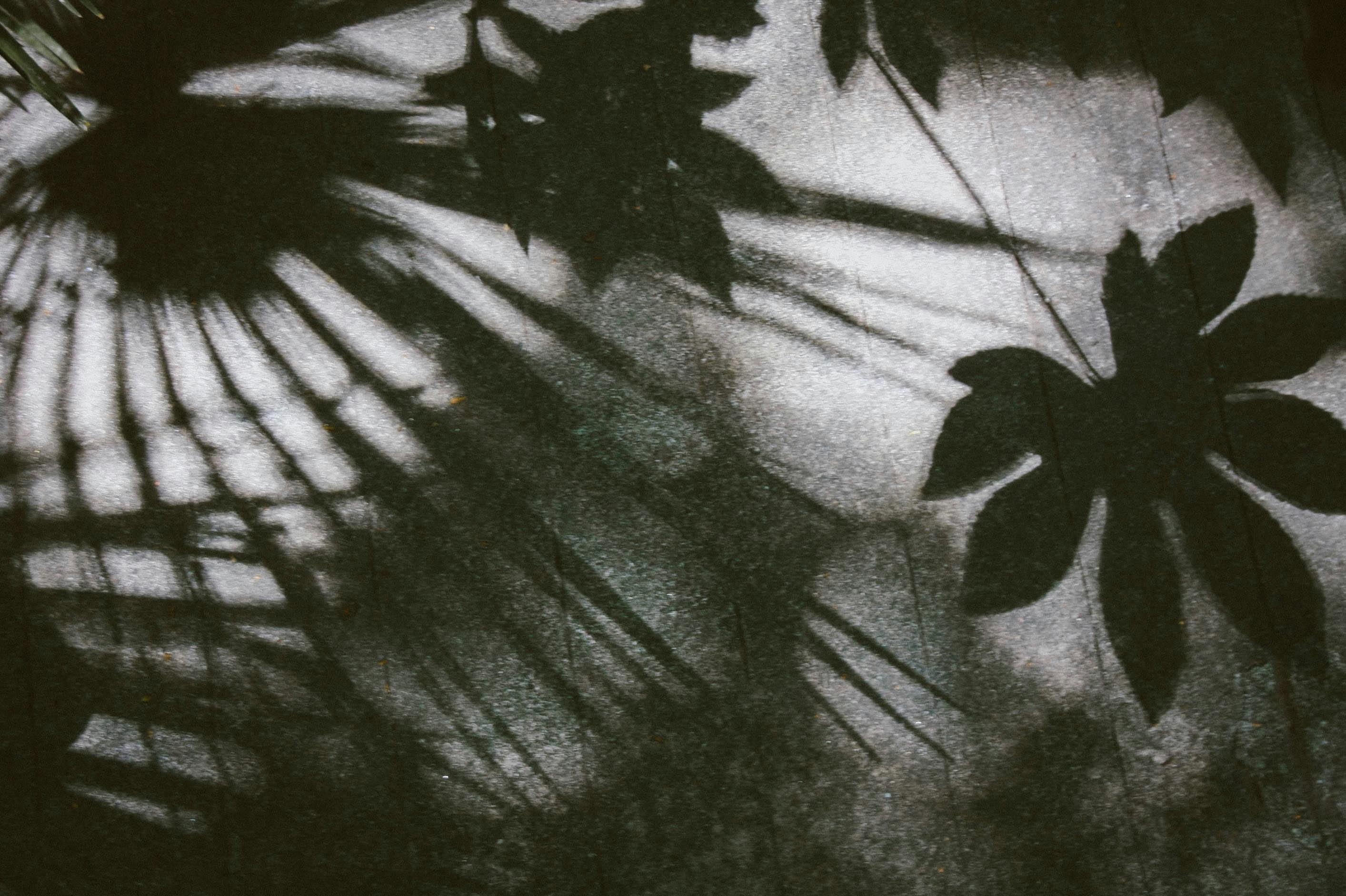 wo licht ist ist auch schatten pexels photo 1204941