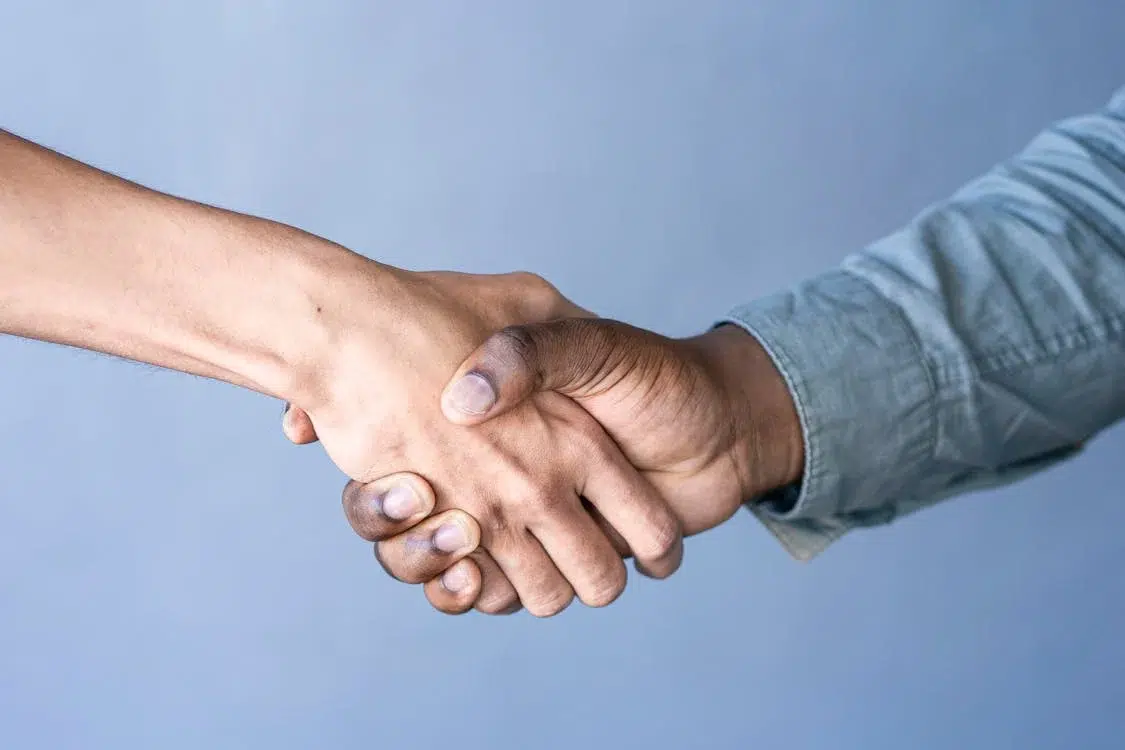 klarheit erzeugt vertruen – und umgekehrt pexels photo 17668953