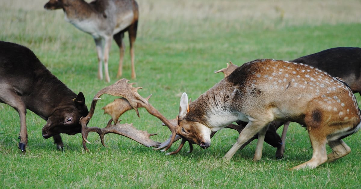 vom wert des selbstwerts