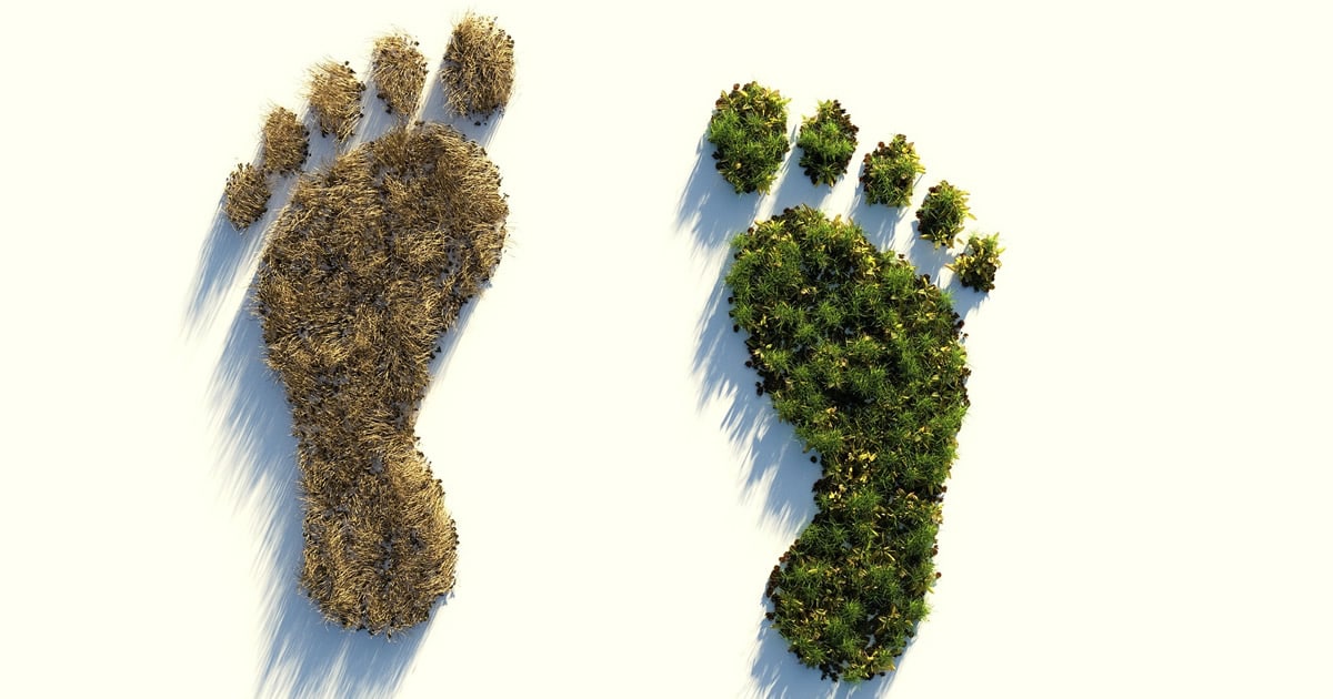 corporate social responsibility